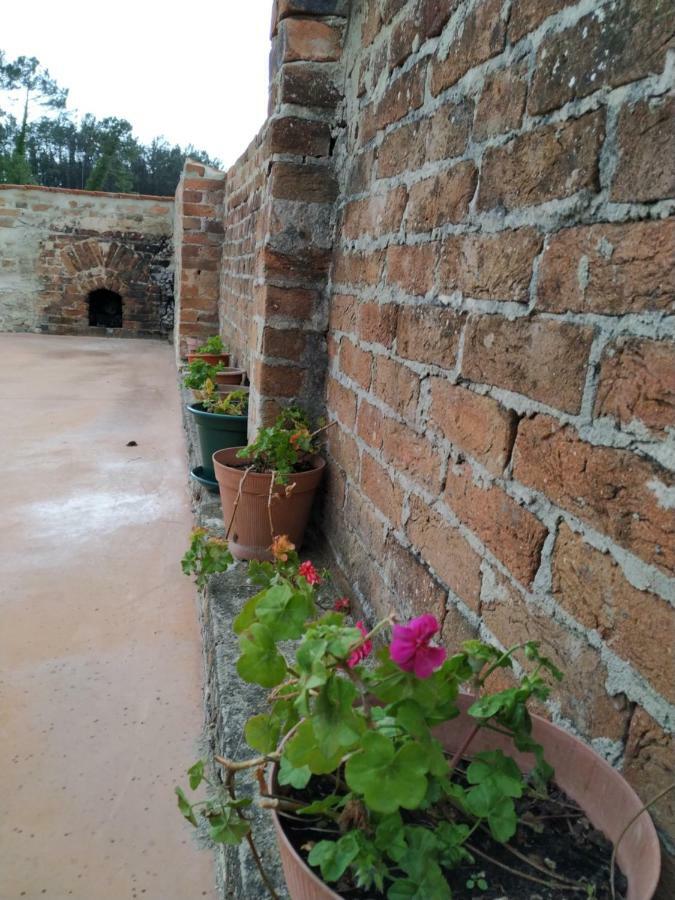 Casa Da Tia Dulce Pataias